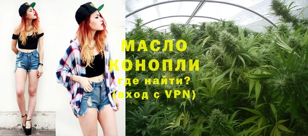 трава Гусиноозёрск
