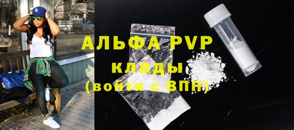 трава Гусиноозёрск