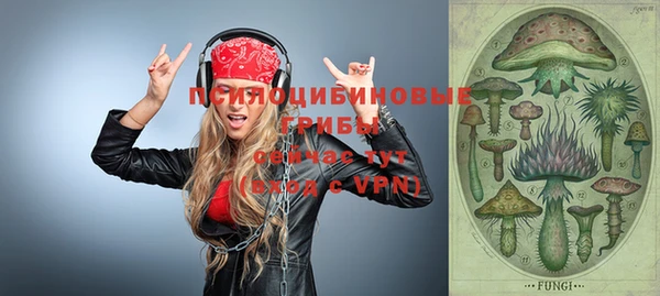 ALPHA PVP Горняк