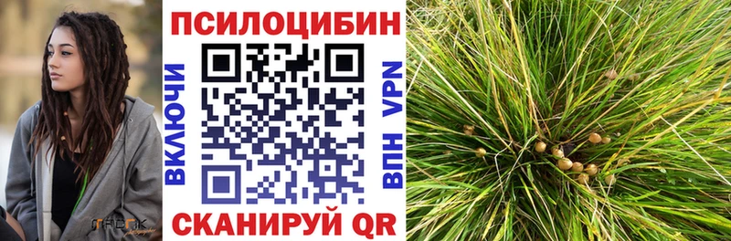 купить наркоту Псков Галлюциногенные грибы ЛСД